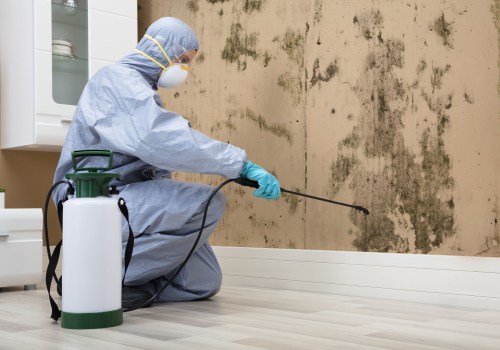 Mold Remediation Services by Companies